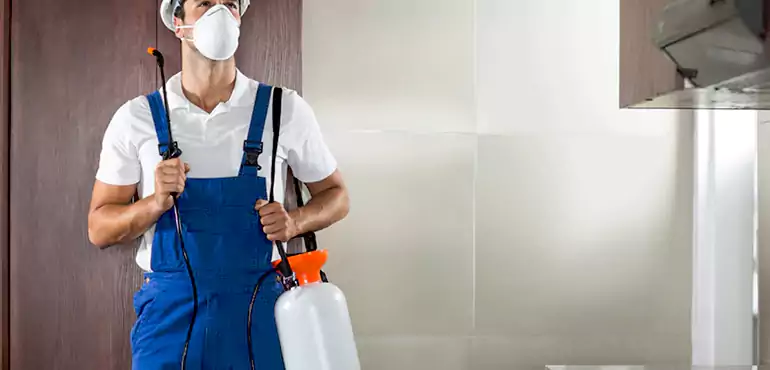Why De Witt Homeowners Choose Us When Pests Make Selling Difficult
