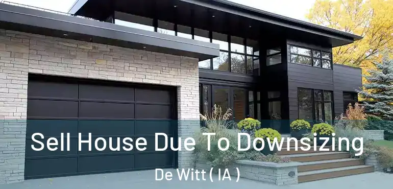  Sell House Due To Downsizing De Witt ( IA )