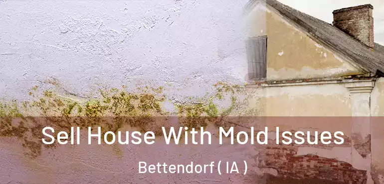  Sell House With Mold Issues Bettendorf ( IA )