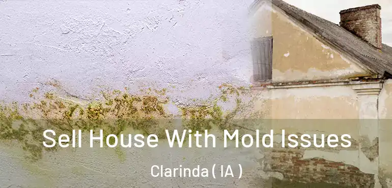  Sell House With Mold Issues Clarinda ( IA )