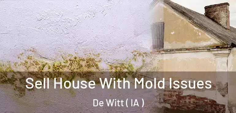  Sell House With Mold Issues De Witt ( IA )