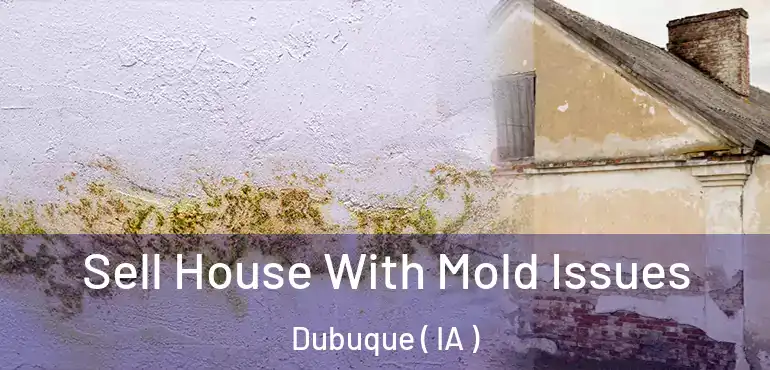  Sell House With Mold Issues Dubuque ( IA )