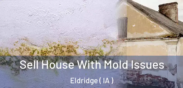  Sell House With Mold Issues Eldridge ( IA )