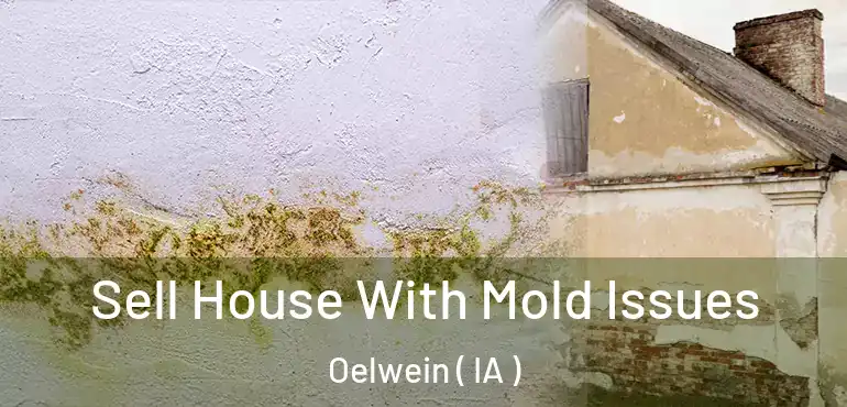 Sell House With Mold Issues Oelwein ( IA )