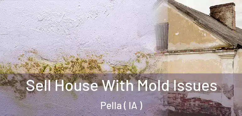  Sell House With Mold Issues Pella ( IA )